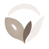 N.